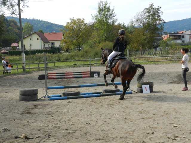 Babie Lato 2016